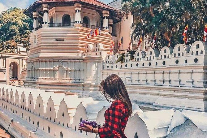 Kandy Day Tour From Colombo with Pinnawala - Key Points