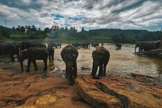 Kandy Day Tour From Colombo with Pinnawala - Frequently Asked Questions