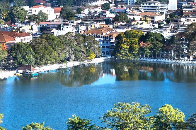 Kandy Day Tour from Galle - An In-Depth Look at the Kandy Day Tour from Galle