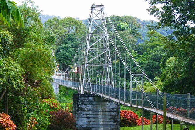 Kandy Day Tour from Galle - Value for Money and Overall Impressions