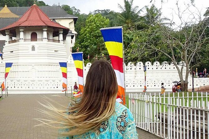 Kandy Day Trip: Colombo, Negombo, Bentota and Kalutara - Explore the Highlights of Kandy in Comfort and Style