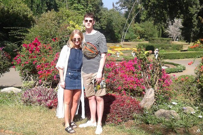 Kandy Day Trip from Colombo: Tea Factory- Peradeniya Botanical Gardens-Kandy - Why This Tour Offers Great Value