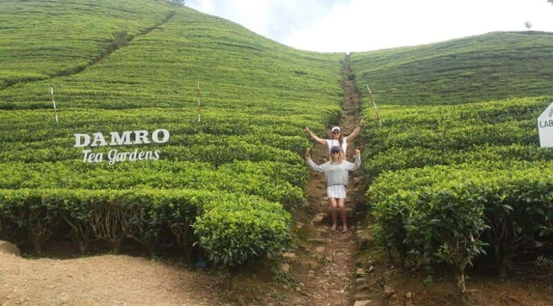 kandy-from-kandy-to-nuwara-eliya-day-tour-by-tuk-tuk