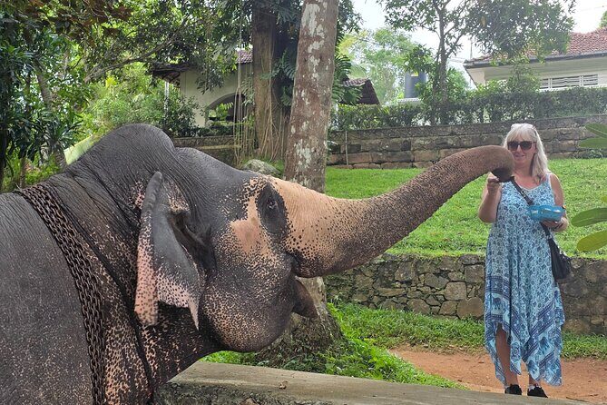 Kandy Full Day Tour Private All Inclusive - Key Points