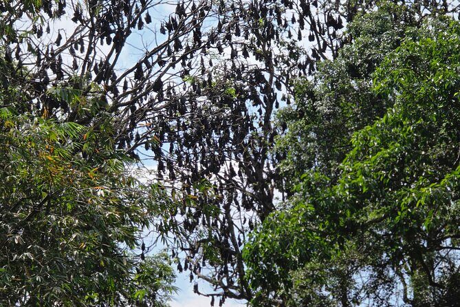 Kandy Full Day Tour Private All Inclusive - Final Thoughts – Who Will Love This Tour?