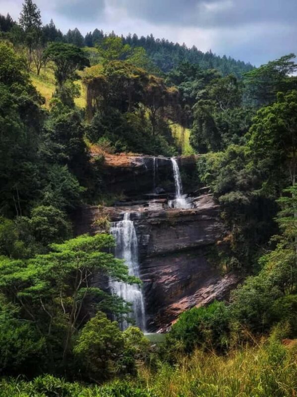 Kandy: Gombaniya Two-Day Cloud Forest Summit Trek - An In-Depth Look at the Gombaniya Trek