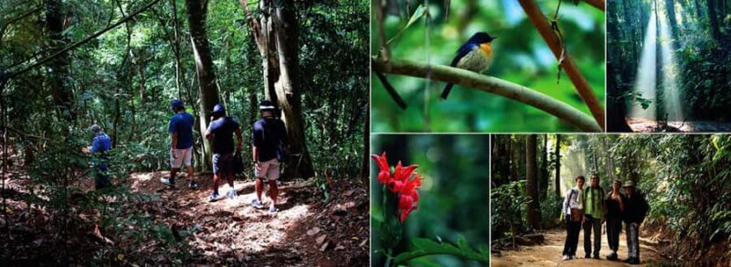 Kandy: Heritage and Architectural by Tuk Tuk - The Value of This Experience