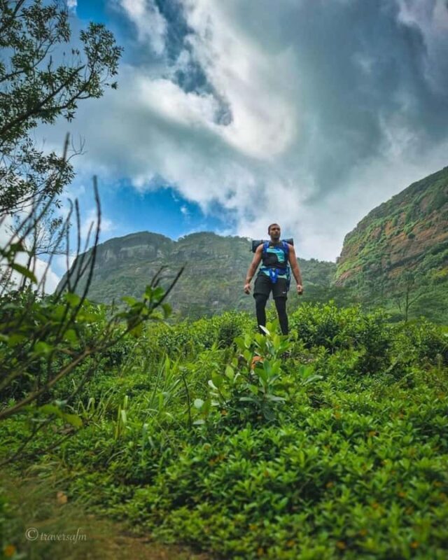 Kandy: Hidden Highlands Nature Walk - Key Points