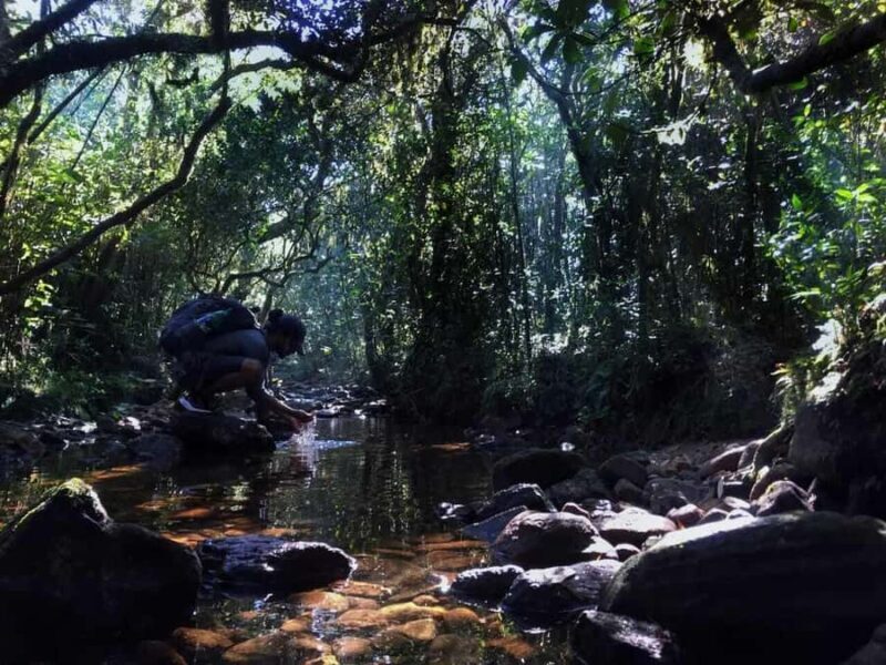 Kandy: Hidden Jungle Infinity Pool & Waterfall Expedition - Who Will Love This Tour?