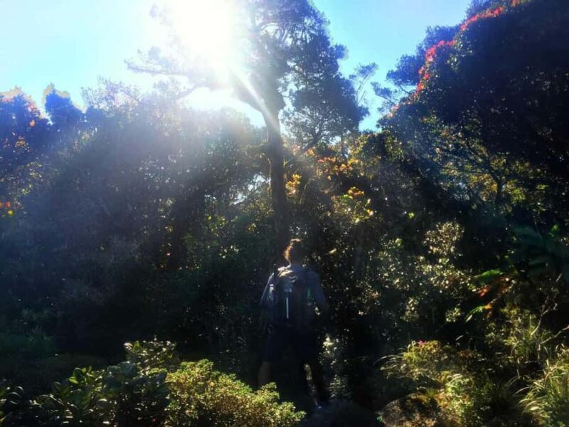 Kandy: Hidden Jungle Infinity Pool & Waterfall Expedition - Final Thoughts