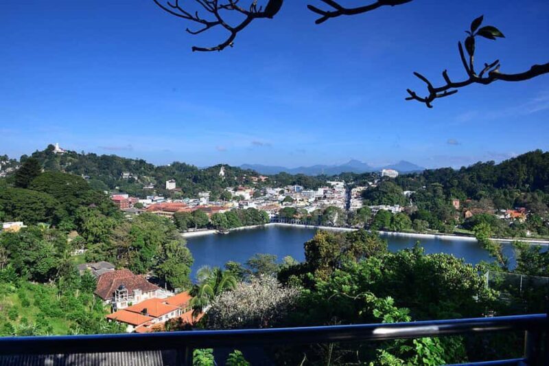 Kandy Highlights & Pinnawala Elephant Experience by Tuk-Tuk - Final Thoughts