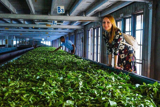 Kandy Instagram Tour: Most Famous Spots (Private & All-Inclusive) - Who Will Love This Tour?