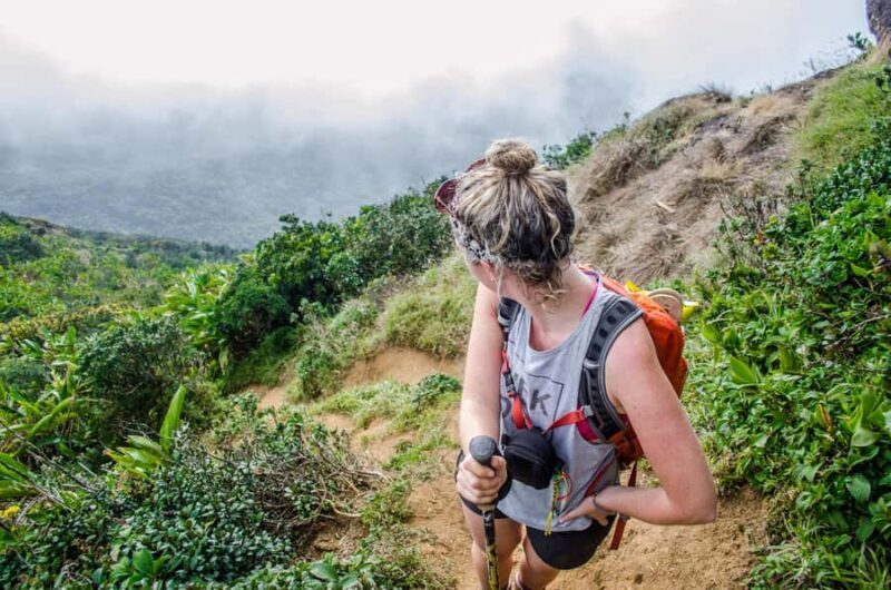 Kandy: Knuckles Mountain Range Hiking Tour with Lunch - An In-Depth Look at the Adventure