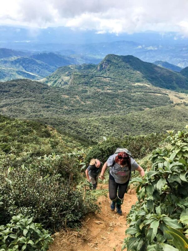 Kandy: Knuckles Mountain Range Hiking Tour with Lunch - Practical Tips for the Trekker