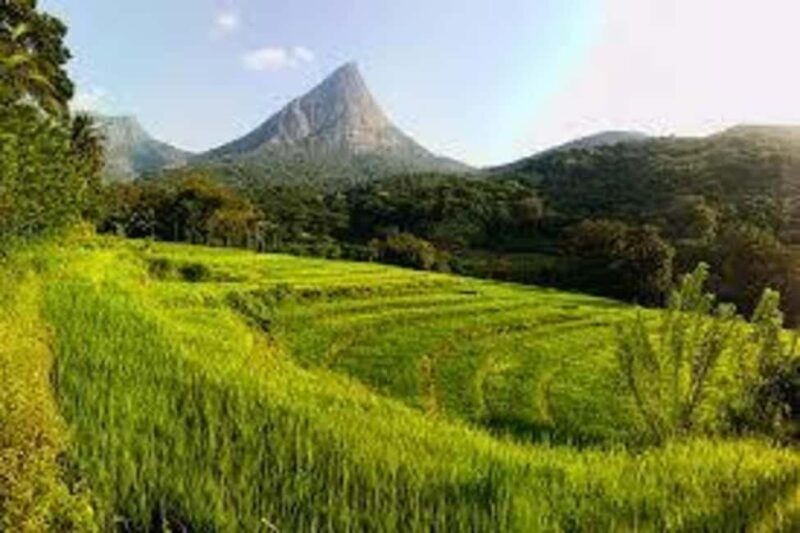 Kandy: Meemure Village Day Trip (Hidden Mountain Village) - An Overview of the Experience