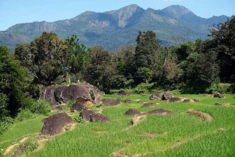 Kandy: Meemure Village Day Trip (Hidden Mountain Village) - The Practical Breakdown