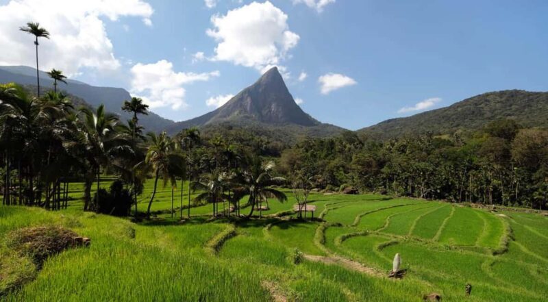 Kandy: Meemure Village Day Trip (Hidden Mountain Village) - Final Thoughts