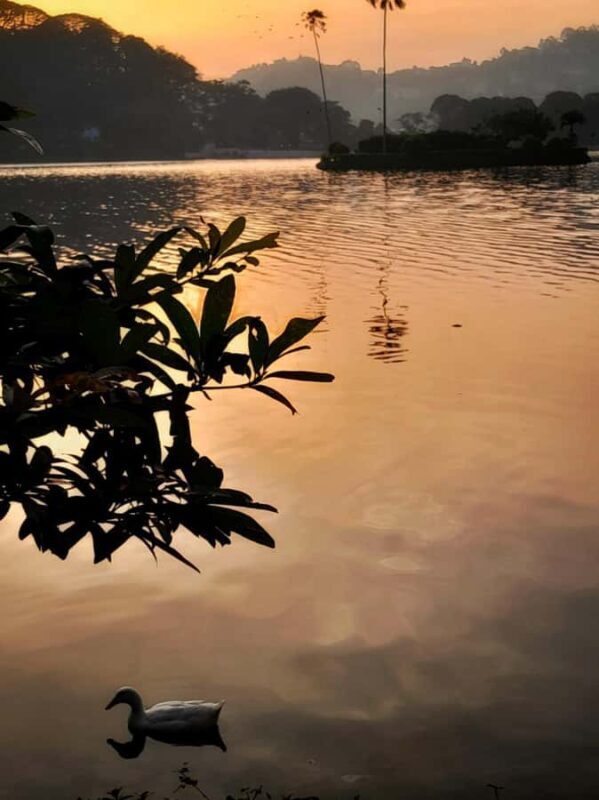 Kandy: Night Tour with Boat Safari, Cultural Show & Temples - Who Is This Tour For?