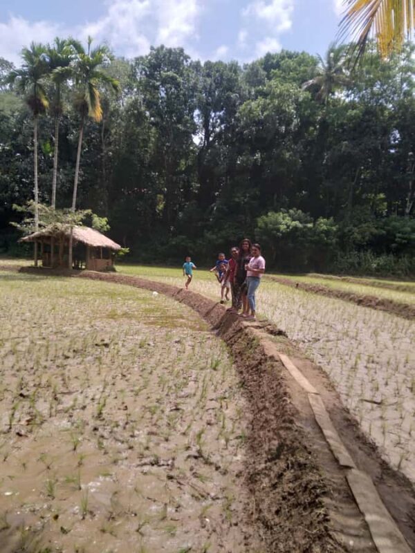 Kandy: Nutmeg Plantation Tour with Kamatha Lunch - Key Points
