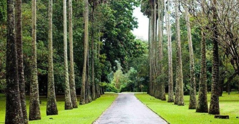 Kandy & Nuwara Eliya: 2-Day Tour! - Frequently Asked Questions