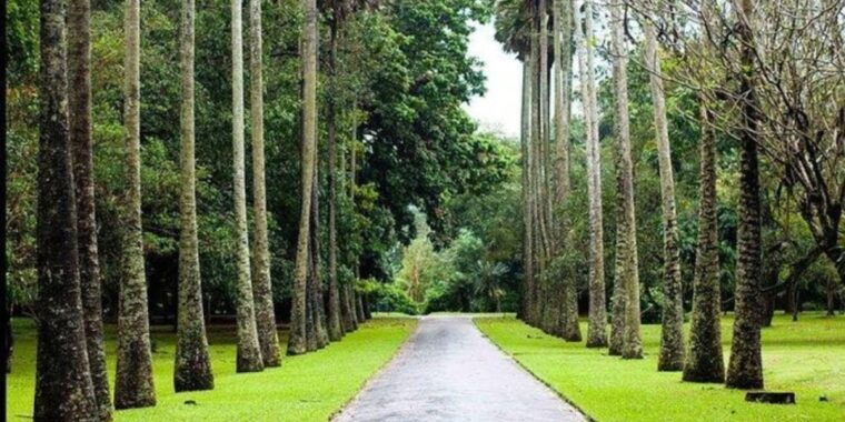 kandy-nuwara-eliya-2-day-tour