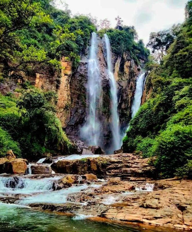 Kandy: Nuwara Eliya and Ambewela Train Station Tour - Kandy: Nuwara Eliya and Ambewela Train Station Tour – A Deep Dive into Sri Lanka’s High-Altitude Beauty