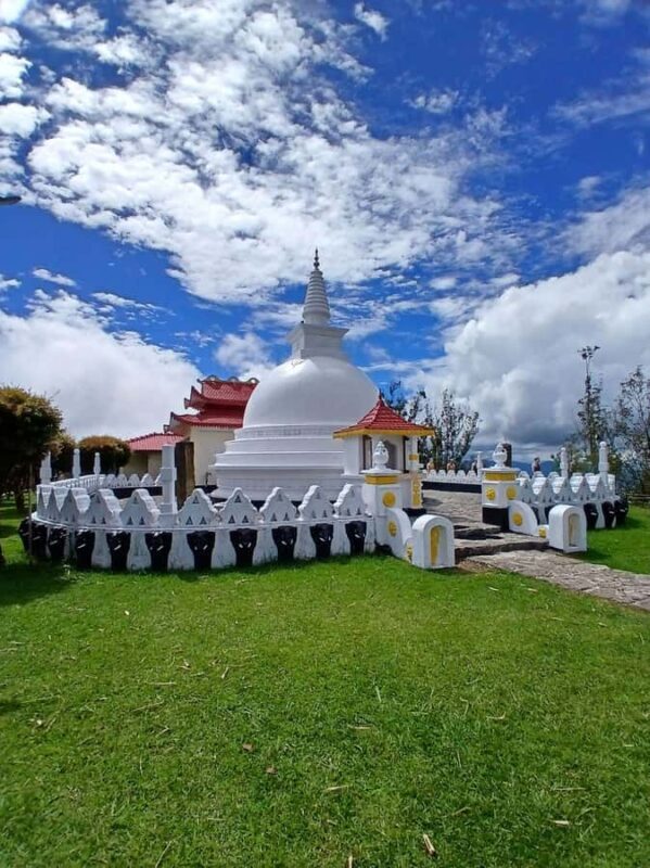 Kandy: Nuwara Eliya and Ambewela Train Station Tour - Transportation & Timing: What Matters