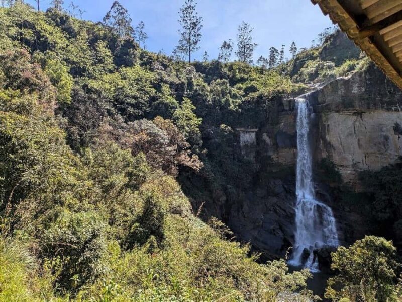 Kandy: Nuwara Eliya and Ambewela Train Station Tour - Is This Tour Worth It?