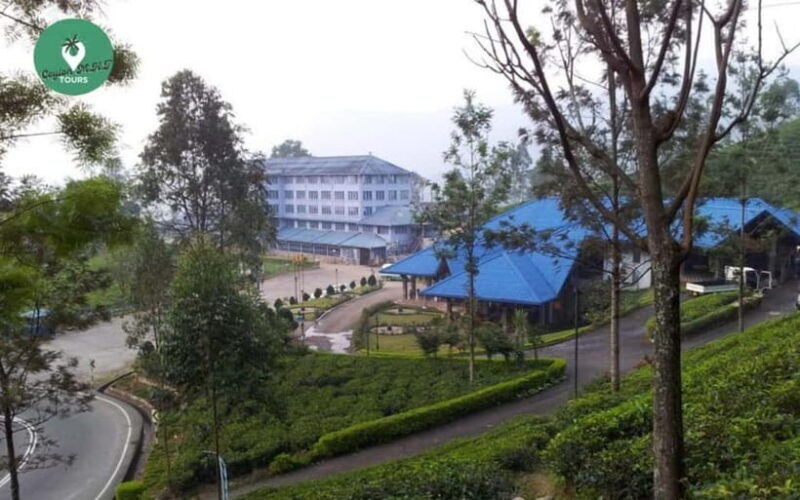 Kandy: Nuwara Eliya Day Explore by Tuk tuk with Local Guide - Authentic Experiences and Authenticity