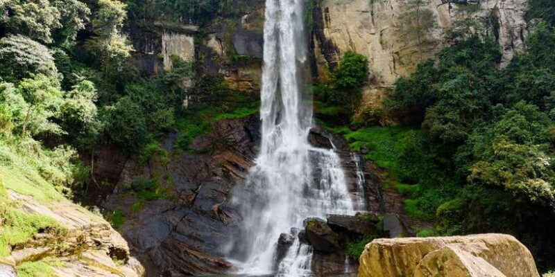 Kandy: Nuwara Eliya Day Trip - The Sum Up: Who Is This Tour Best For?