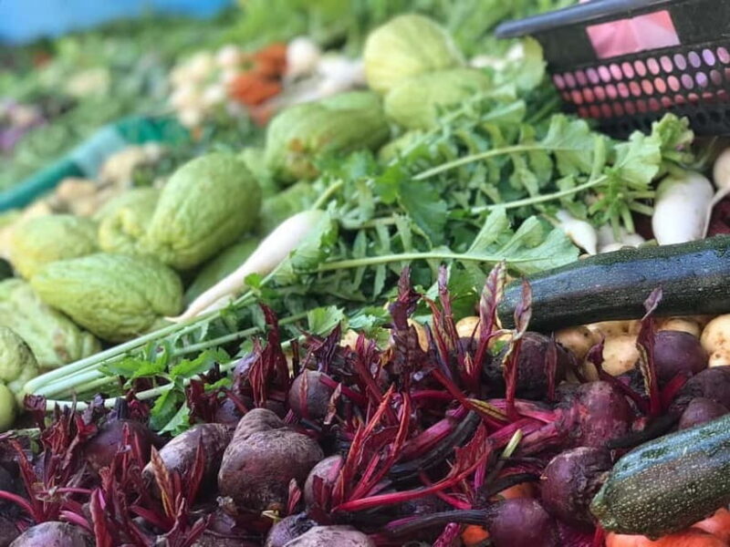 Kandy: Nuwara-Eliya Trip with Driver-Guide & Scenic Stops - FAQ