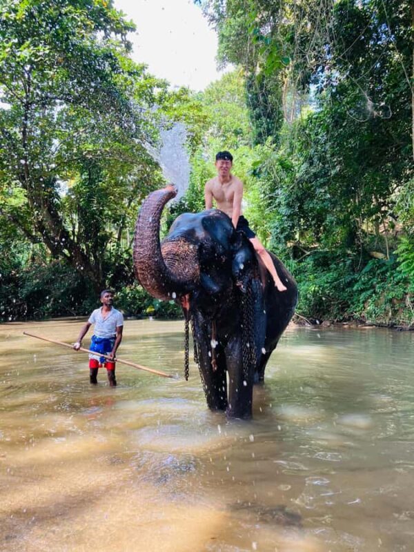 Kandy: Pinnawala & Ambuluwawa Tuk Tuk Adventure - Final Thoughts