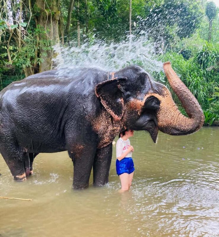 Kandy: Pinnawala & Ambuluwawa Tuk Tuk Adventure - FAQs