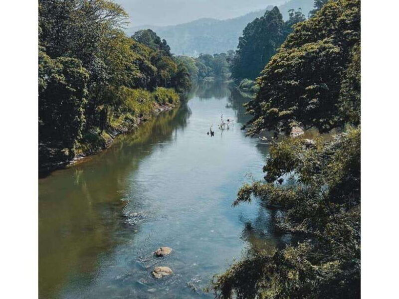 kandy-pinnawala-day-tour-by-local-car-local-guide