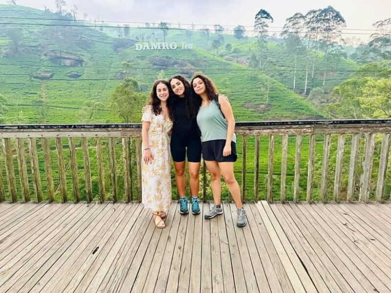 Kandy & Pinnawala Day Tour From Colombo or Negombo - An Honest Look at the Itinerary