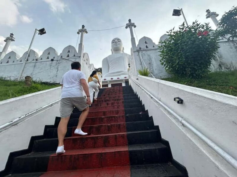 Kandy & Pinnawala Day Tour From Colombo or Negombo - Final Thoughts