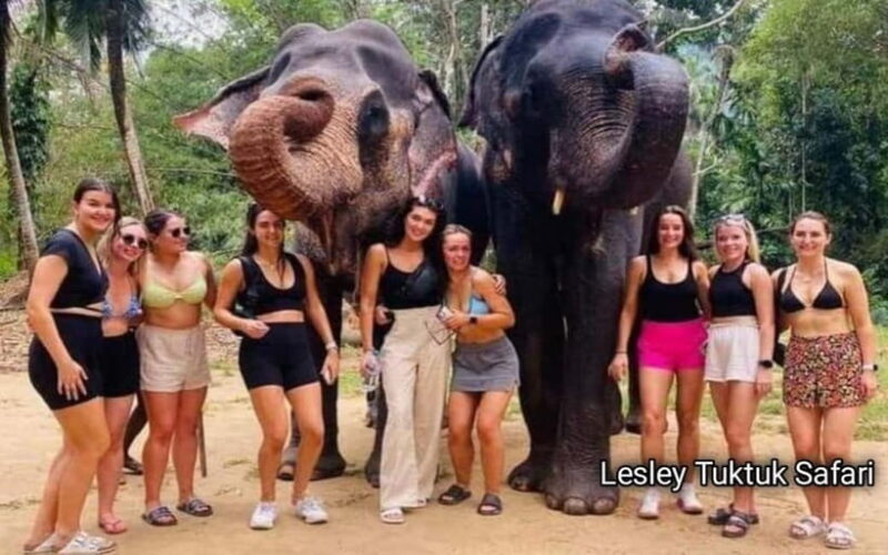 Kandy : Pinnawala Elephant Safari Tour with Kandy City Tour - Practical Details and Tips