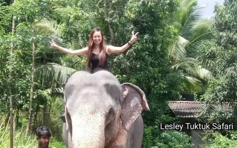 Kandy : Pinnawala Elephant Safari Tour with Kandy City Tour - Final Thoughts