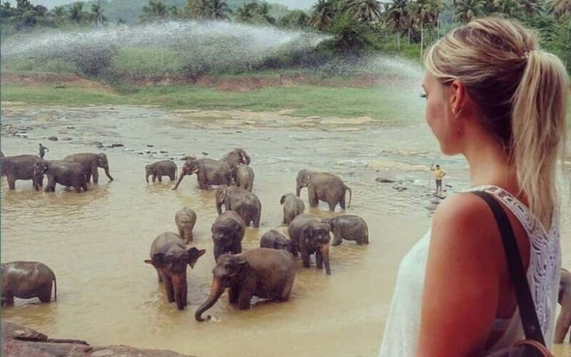 Kandy : Pinnawala Elephant Safari Tour with Kandy City Tour - FAQ