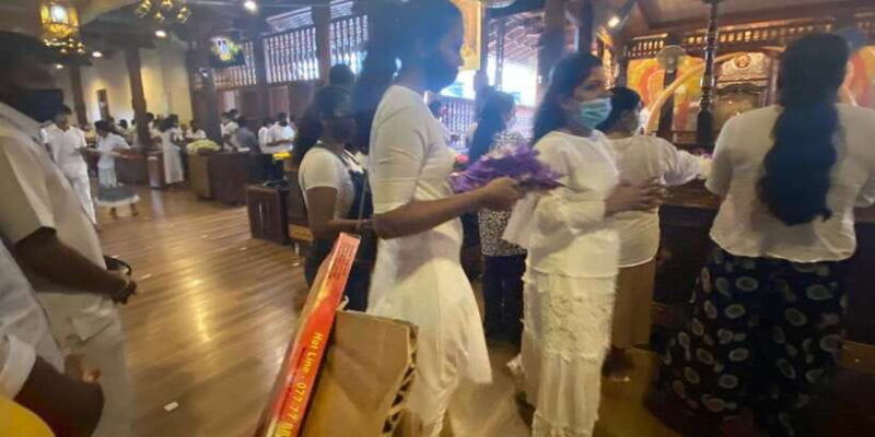 kandy-pinnawala-full-day-tour-from-bentota-and-kalutara
