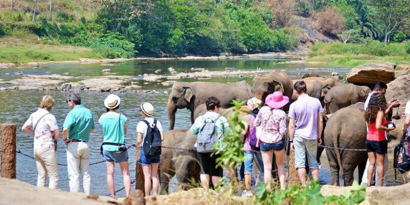 kandy-pinnawala-full-day-tour-from-bentota-and-kalutara