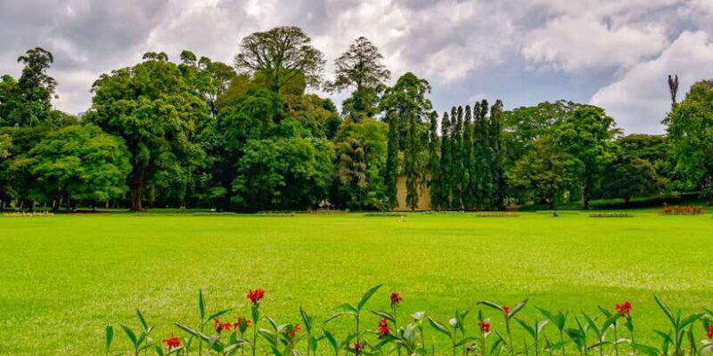 kandy-pinnawala-full-day-tour-from-bentota-and-kalutara