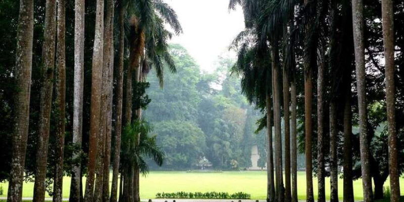 kandy-pinnawala-full-day-tour-from-bentota-and-kalutara