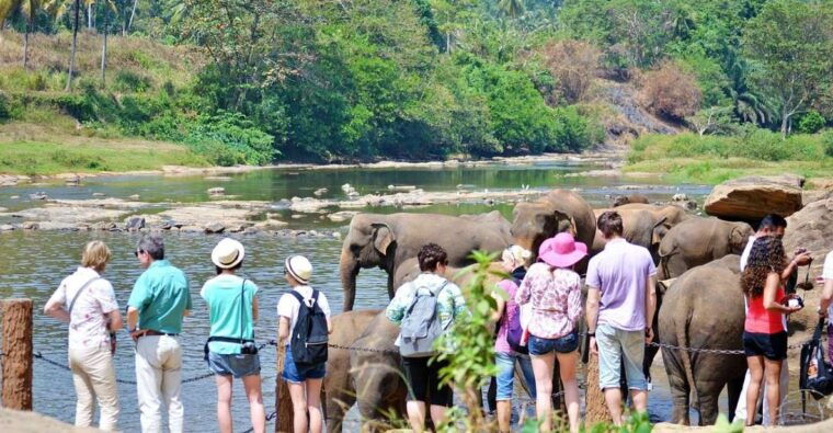 kandy-pinnawala-full-day-tour-from-bentota-and-kalutara