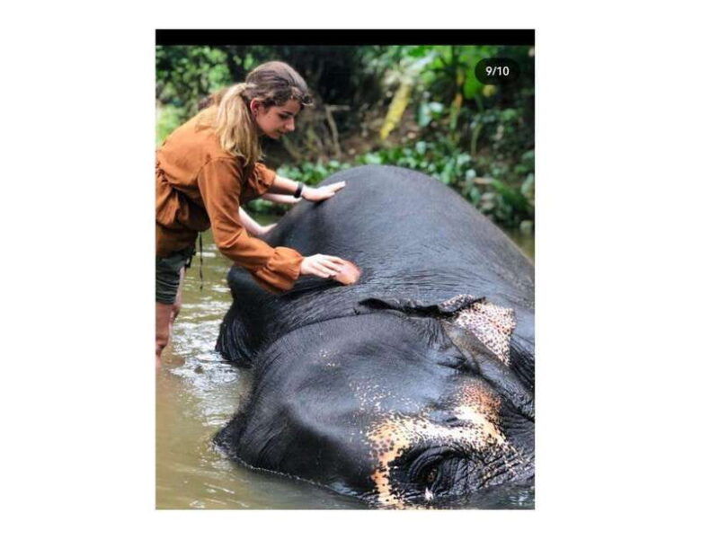 kandy-pinnawala-guided-city-tour