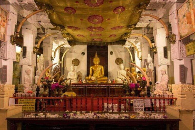 kandy-pinnawala-tea-factory-full-day-tour-from-negombo