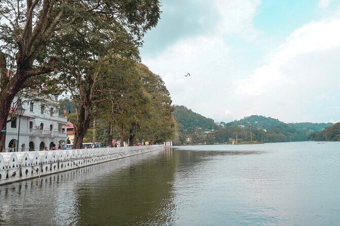 Kandy Private Day Tour from Trincomalee - Key Points