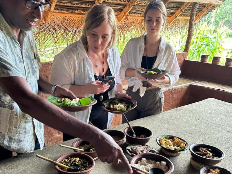 Kandy: Sigiriya, Dambulla, and Village Safari Day Trip - An In-Depth Look at the Tour Experience