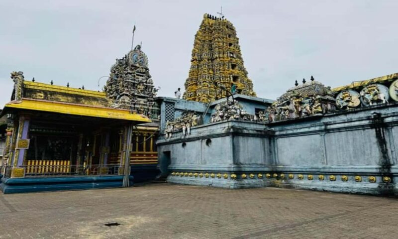 Kandy: Sigiriya & Dambulla Cave Temple Tour with Local Guide - Timing and Pacing