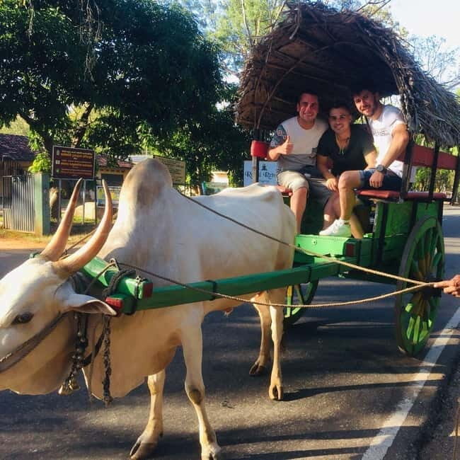 Kandy : Sigiriya Guided Day Tour By Tuk Tuk - Key Points